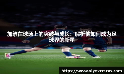 db电竞官网入口